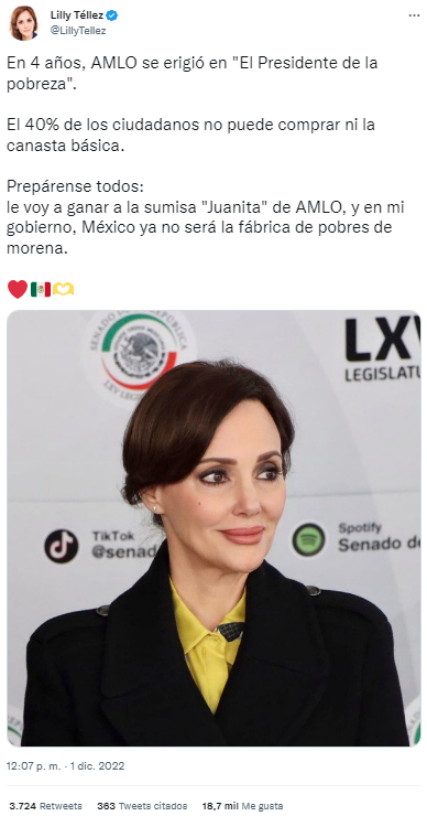 Mi Gobierno No Será Una Fábrica De Pobres Lilly Téllez Aristegui Noticias