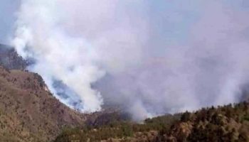 Incendio consume bosques en el Pico de Orizaba
