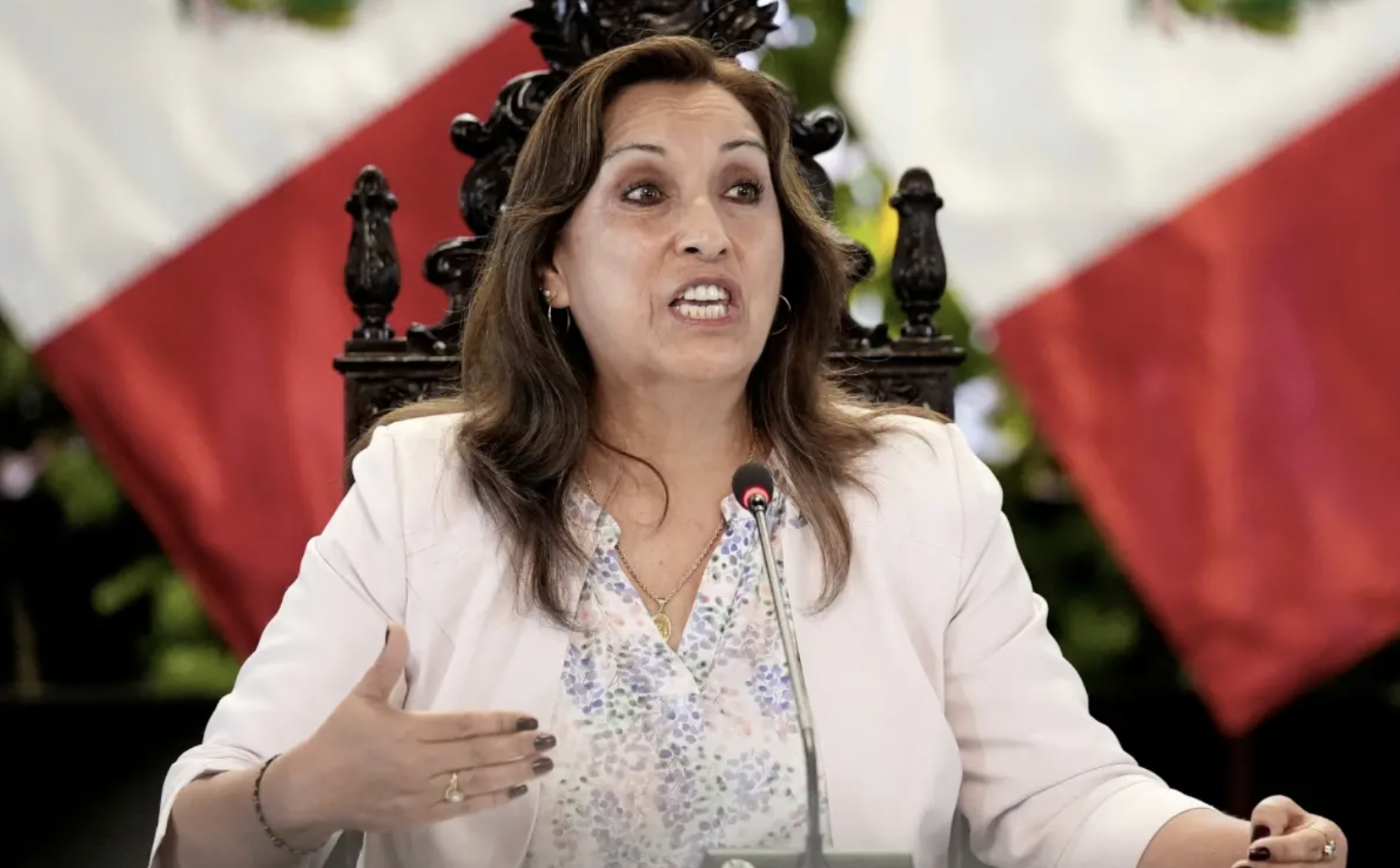 Peru: prosecutors call on president for deaths in protests
