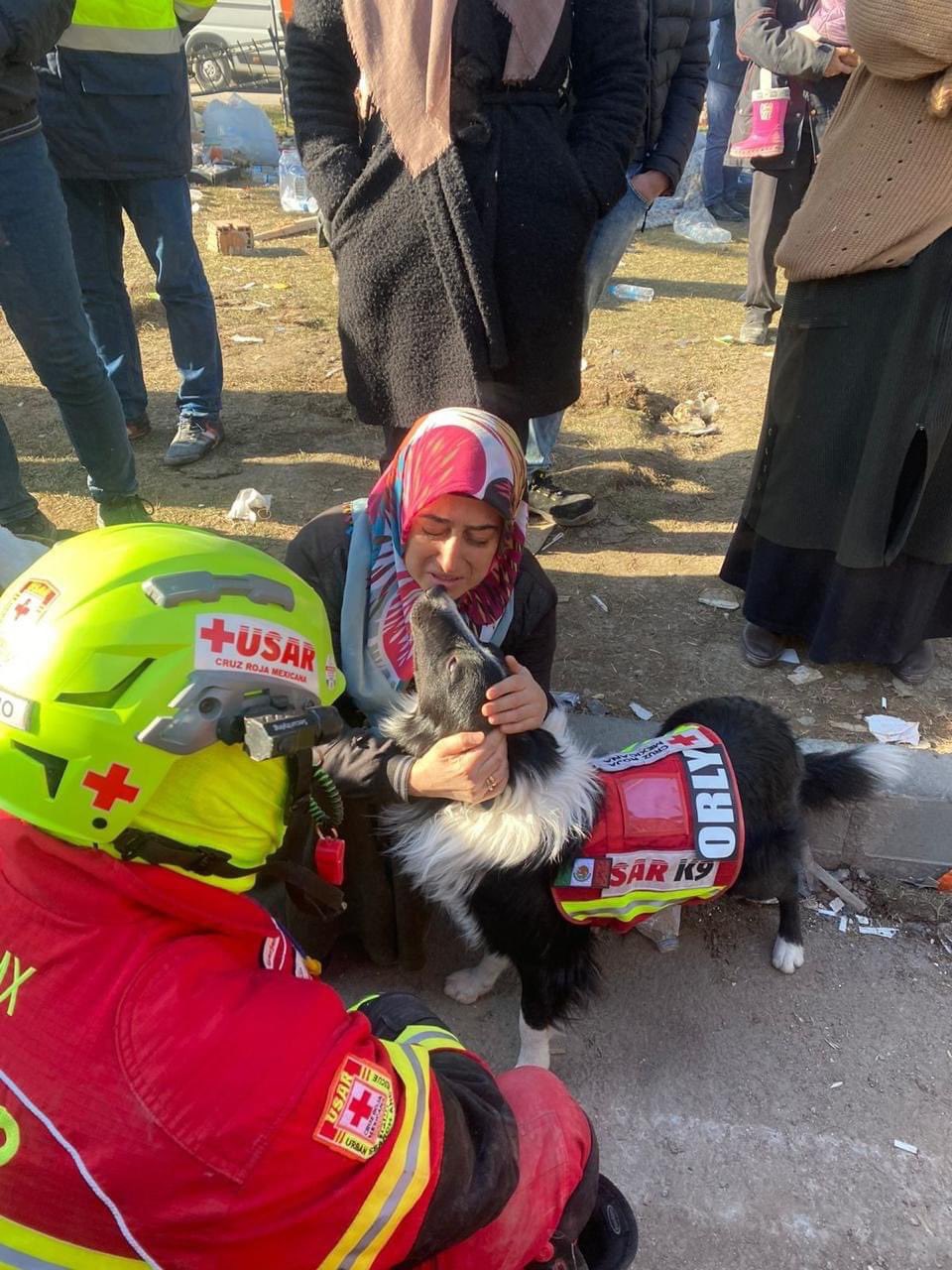 Héroe peludo! Perrito de la Cruz Roja Mexicana localiza a víctima atrapada  en Turquía | Video | Aristegui Noticias