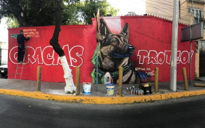 Proteo, perro rescatista, recibe homenaje con mural en Tlalnepantla Proteo, perro rescatista, recibe homenaje con mural en Tlalnepantla
