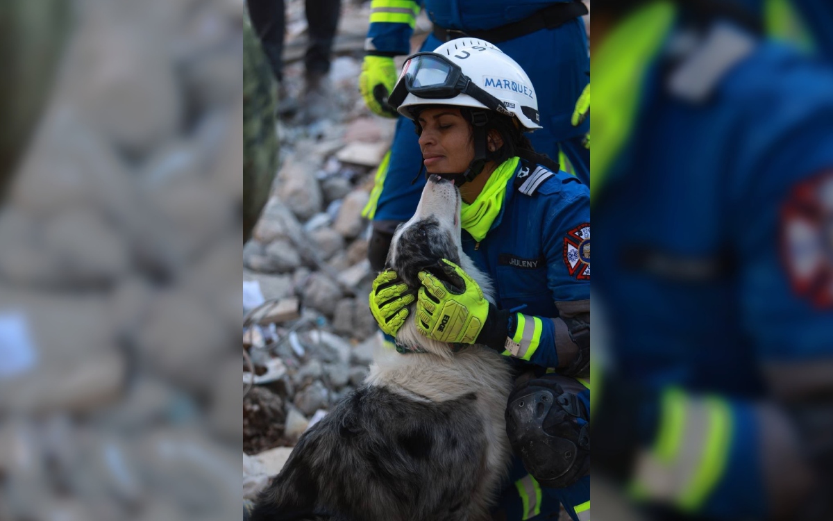 Así es el rescate en Turquía por brigadistas mexicanos | Fotogalería Así es el rescate en Turquía por brigadistas mexicanos | Fotogalería
