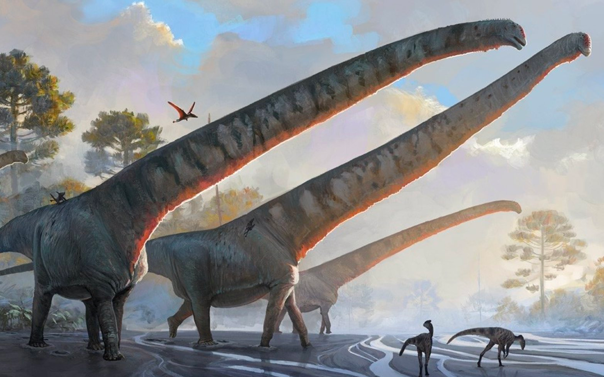 Descubre dinosaurio con el cuello más largo conocido | Aristegui Noticias