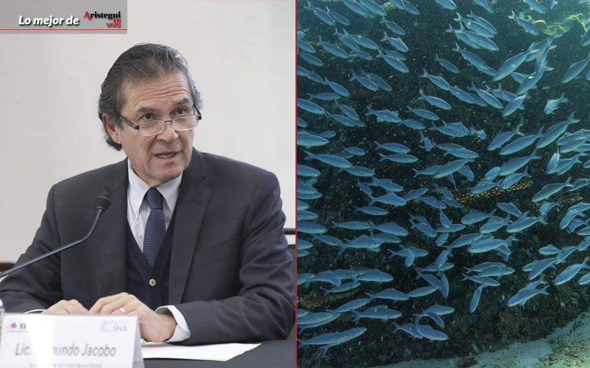 Lo mejor de Aristegui en Vivo: ‘El congreso no tiene facultades para destituirme’: Edmundo Jacobo | Áreas Marinas Protegidas ya son una realidad Lo mejor de Aristegui en Vivo: ‘El congreso no tiene facultades para destituirme’: Edmundo Jacobo | Áreas Marinas Protegidas ya son una realidad
