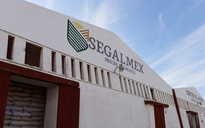 Sedatu impuso como proveedor a ex funcionario de Segalmex investigado por la FGR Sedatu impuso como proveedor a ex funcionario de Segalmex investigado por la FGR