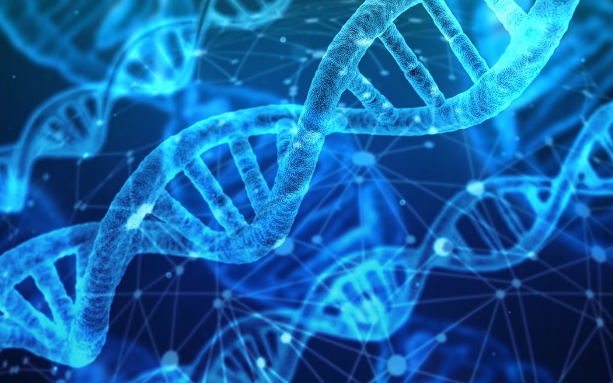 Genes