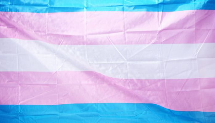 transgender flag