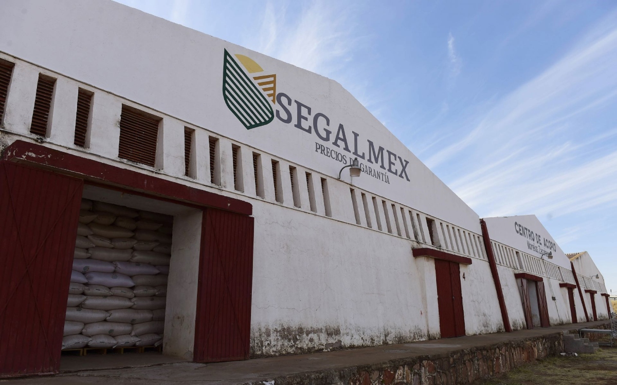 Juez frena detención de exdirector de Administración de Segalmex por delincuencia, lavado de dinero y peculado