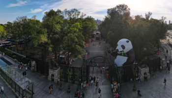 Un Panda Gigante en las puertas de Chapultepec