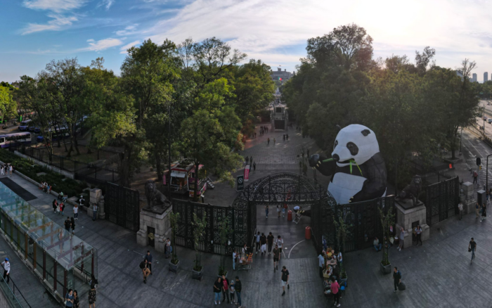 Un Panda Gigante en las puertas de Chapultepec | Aristegui Noticias