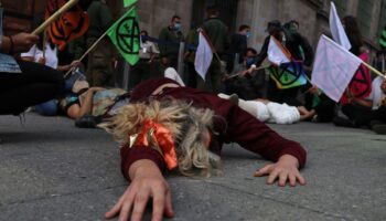 84 defensores del medio ambiente asesinados en el sexenio: Alanís