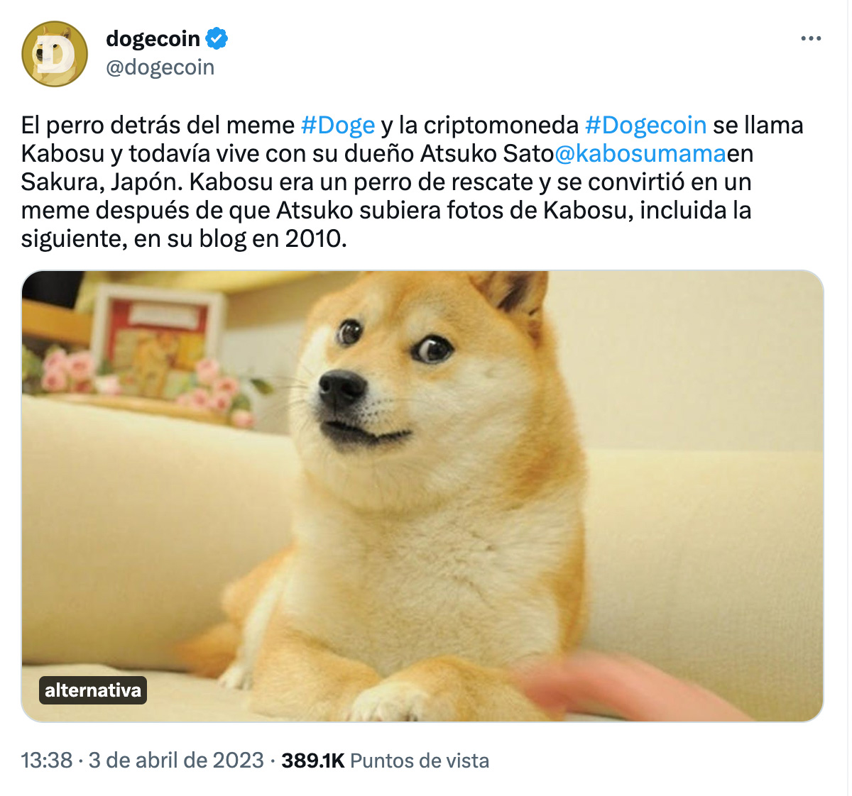 Cambia Twitter logo por mascota de Dogecoin y criptomoneda aumenta valor |  Aristegui Noticias