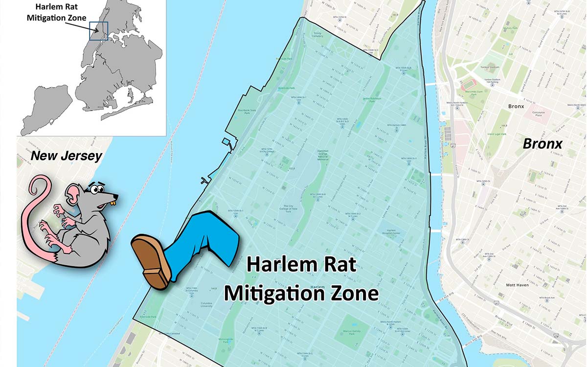 In the style of “Pied Piper” refers to the New York “queen” against rats.