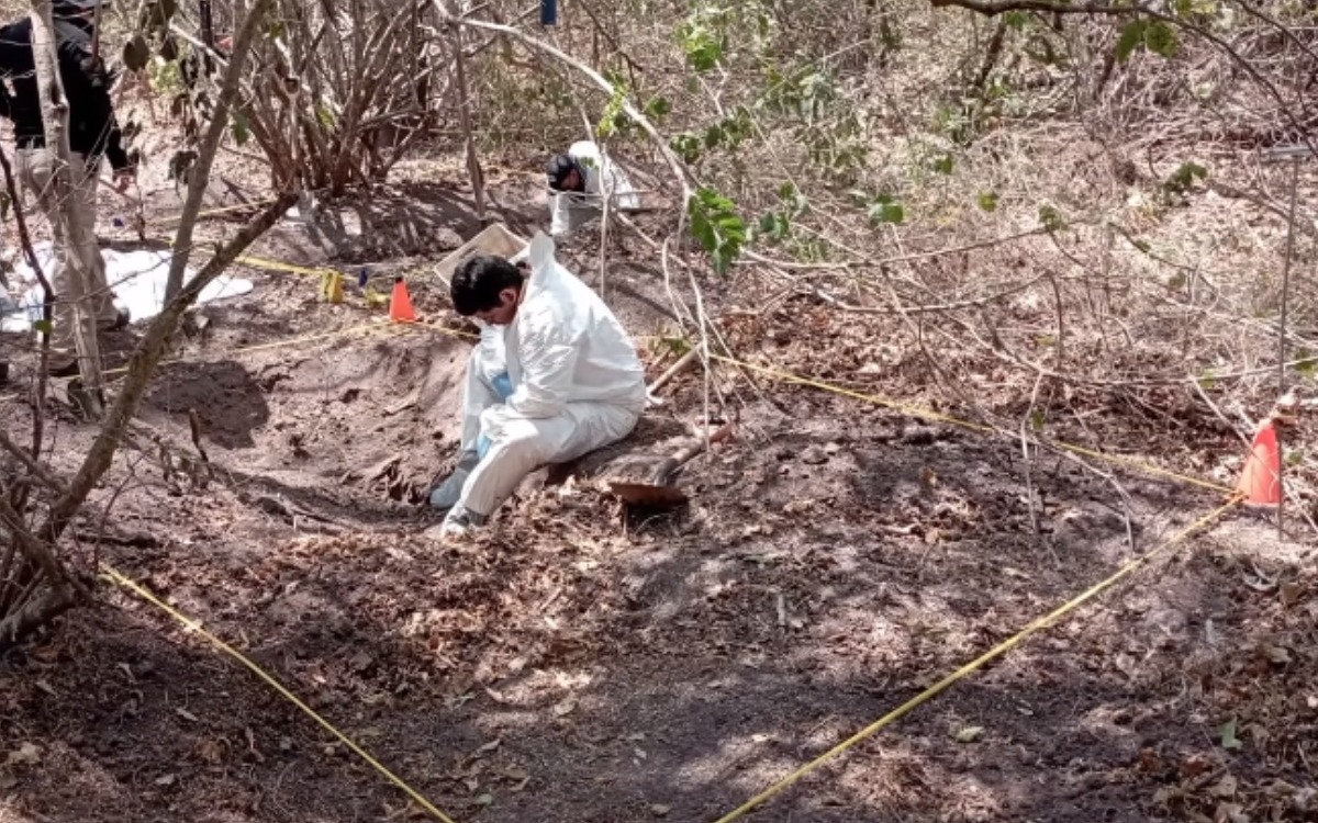 Fotos | Hallan 10 Fosas Clandestinas Con 26 Restos óseos Y Humanos En ...