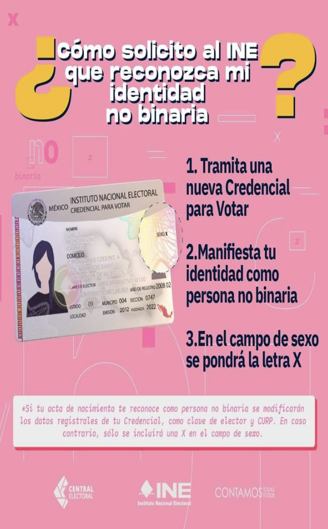 En Yucatán Entregan Primera Credencial Para Votar A Persona No Binaria Aristegui Noticias 1074