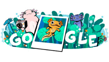 Encuentra los ajolotes del Lago de Xochimilco con Google