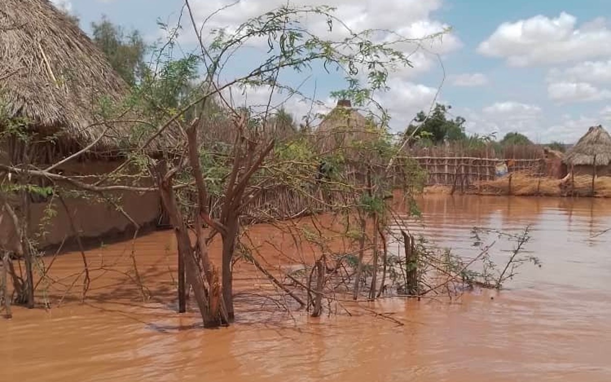Ethiopia: at least 45 dead and thousands displaced by floods
