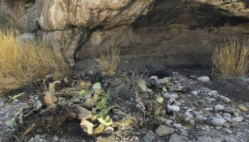 INAH denuncia saqueo en sitio arqueológico de Coahuila