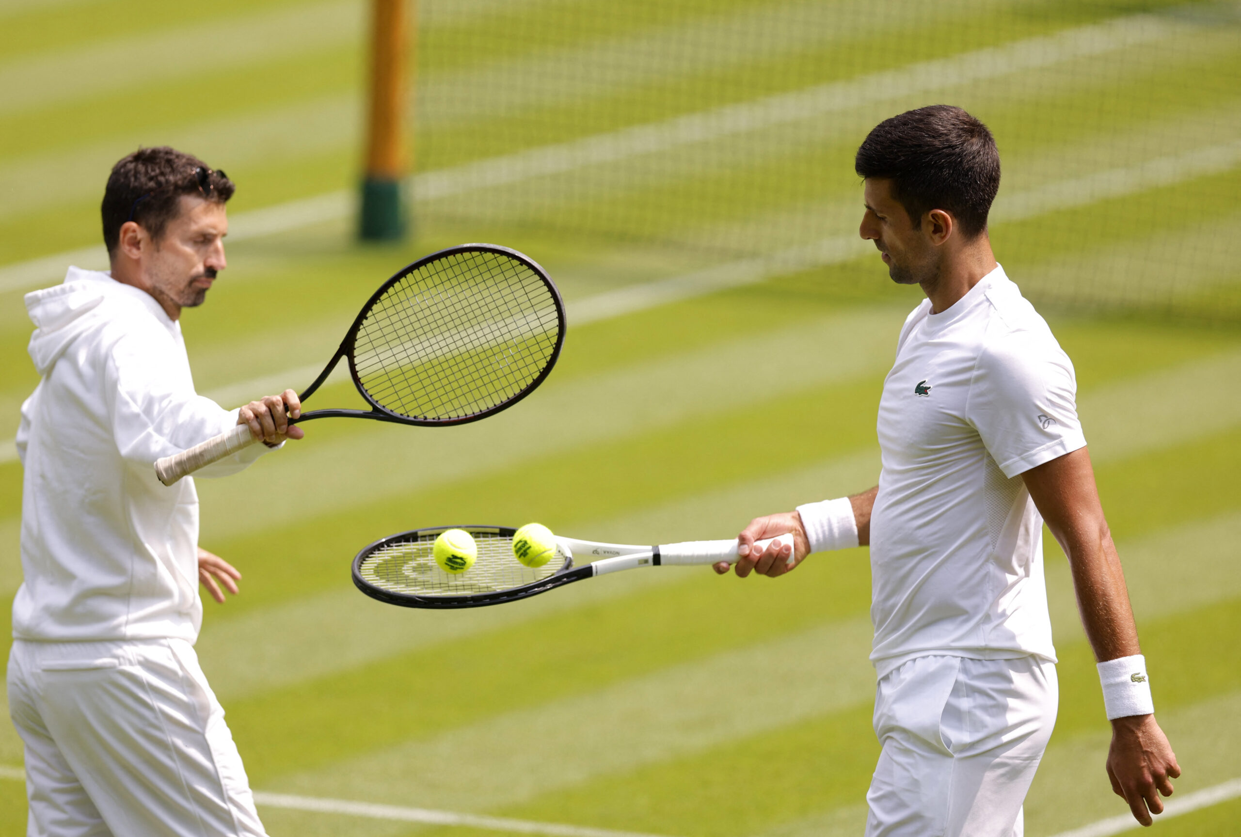 Djokovic “Espero que sea otro gran año en Wimbledon”