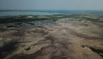 Parque Ecológico en Lago de Texcoco lleva avance del 65%