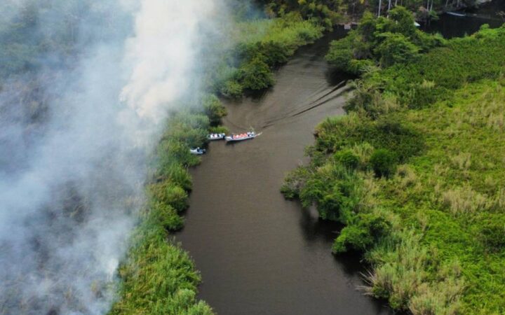 Incendio arrasó 200 hectáreas de manglar en San Blas, Nayarit Incendio arrasó 200 hectáreas de manglar en San Blas, Nayarit