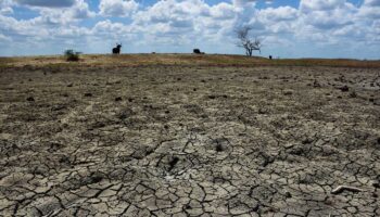 Alrededor del 65% del territorio nacional enfrenta sequía: IMCO | Video