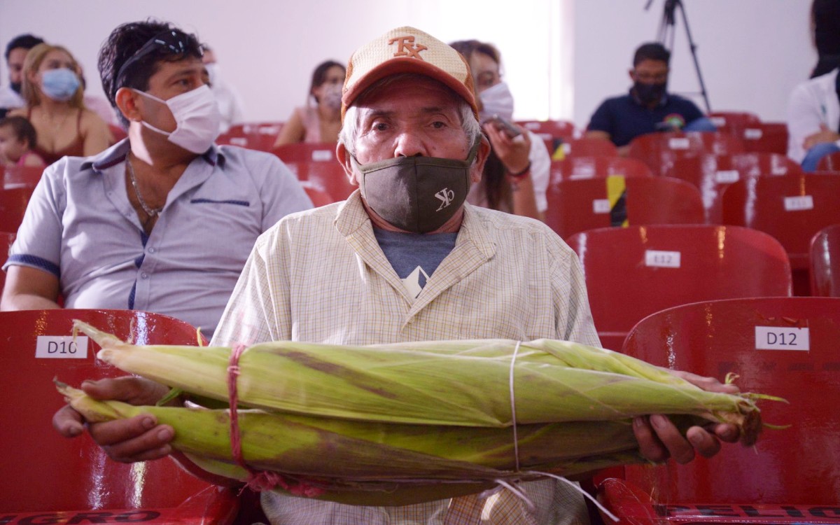 Gobierno no acude al rescate del