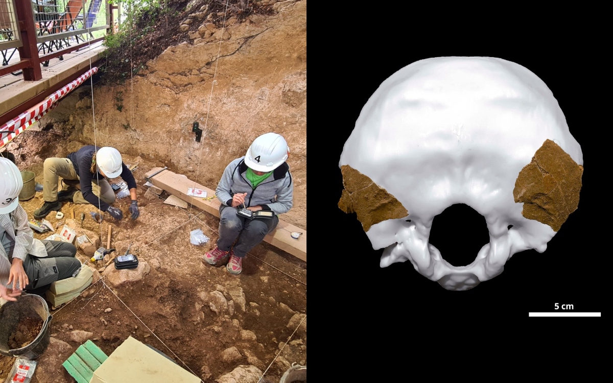 Spain: Neanderthal cannibal remains found 52,000 years ago