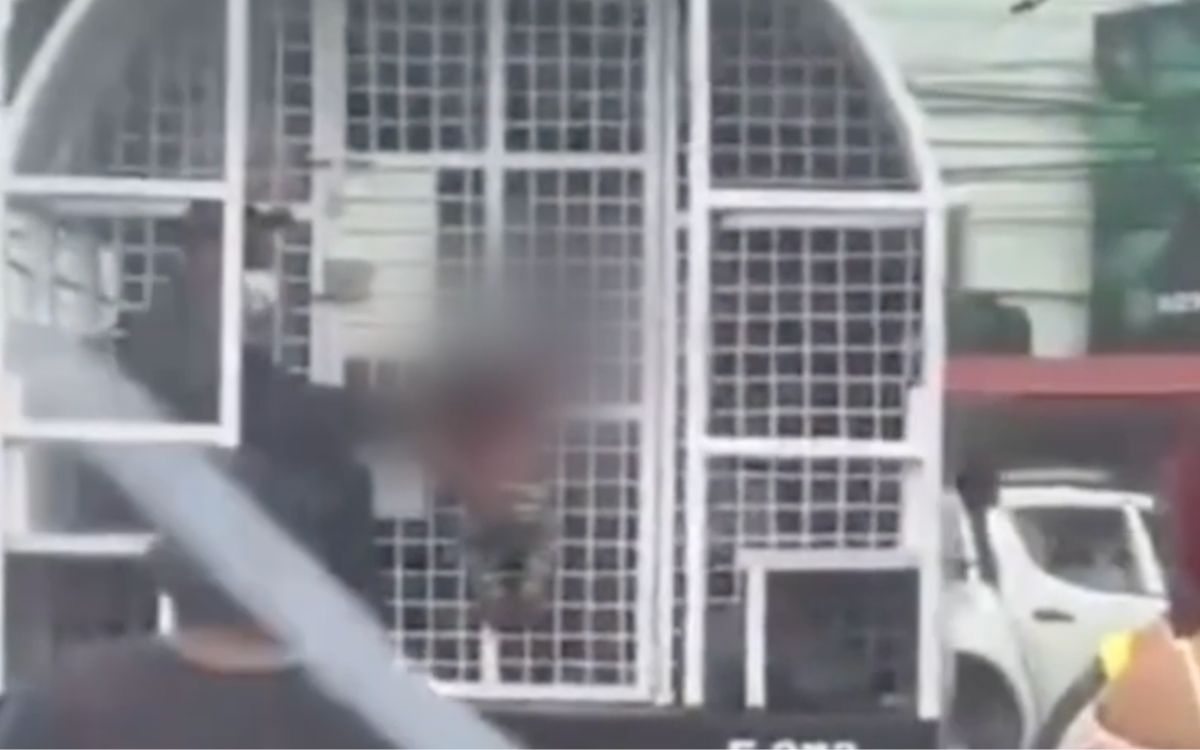 Immigration agent who allowed child to be hung from truck door fired