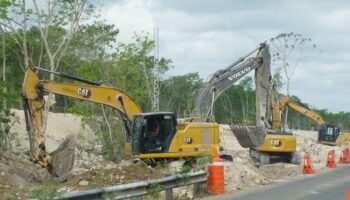 Obras del Tren Maya han generado una 'destrucción brutal' de la selva: CEMDA