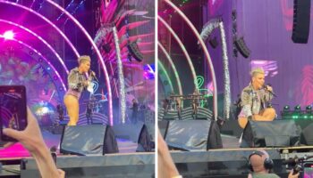 Fan lanza cenizas de su madre a Pink en concierto | Video