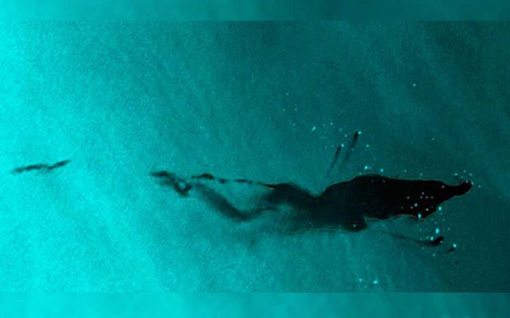 Derrame de petróleo en Golfo de México se extiende 476 kms: especialistas