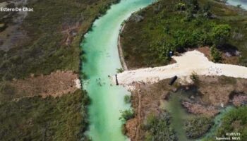Ejército suspende obra del Tren Maya tras afectación al Estero de Chac