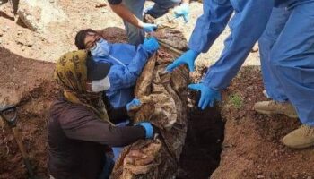 Encuentran ocho cadáveres en casa abandonada en Sonora