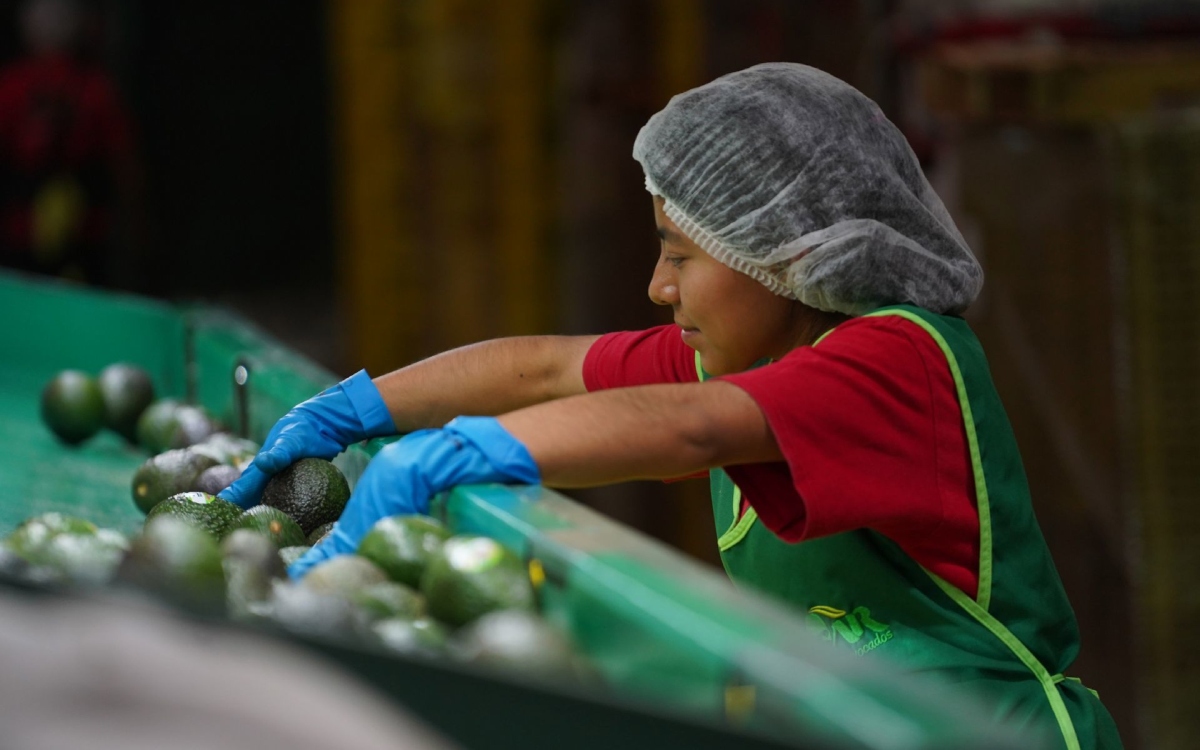 Informalidad laboral creció a 55.2% en junio: Inegi