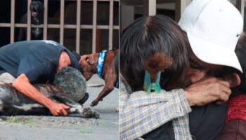 Video y fotos | José Luis, tutor del perrito Zeus, se reúne con su familia tras más de 10 años