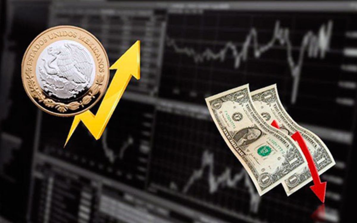 Peso mexicano, estable y fuerte durante el resto del año: UNAM