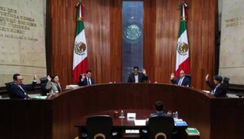 Magistrada propone frenar proceso de Va por México