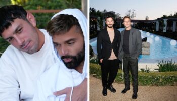 Ricky Martin se divorcia del pintor Jwan Yosef