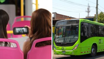 ¿Películas gratis? Sí, en los camiones RTP