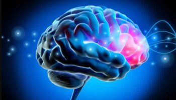 Los cerebros envejecieron más rápido en pandemia, incluso en personas no infectadas