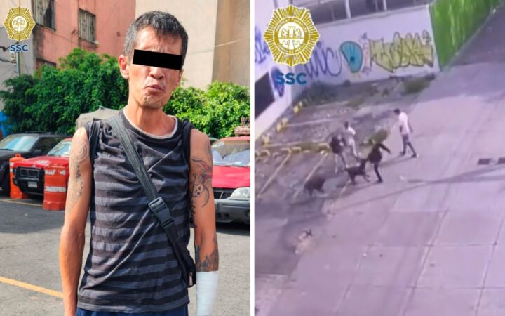 Video | Asaltante mata a perro que defendía a su dueño; policía lo detiene Video | Asaltante mata a perro que defendía a su dueño; policía lo detiene