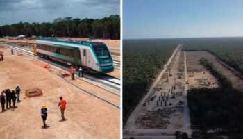 Tribunal Internacional de Derechos de Naturaleza concluye que México cometió ecocidio y etnocidio con Tren Maya