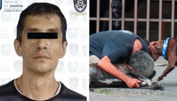 Vinculan a proceso al presunto asesino del perrito Zeus