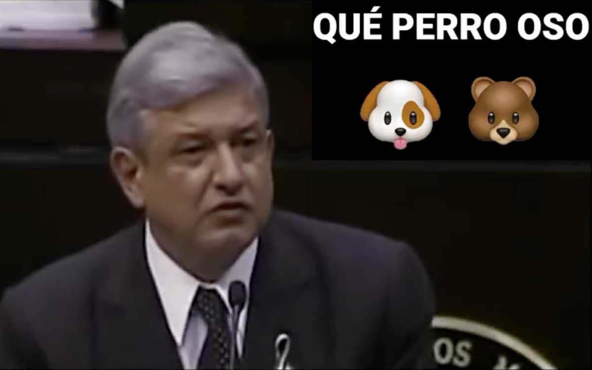 Gálvez recuerda discursos de AMLO de 2005: ‘ya no piensa igual, qué perro oso’ Gálvez recuerda discursos de AMLO de 2005: ‘ya no piensa igual, qué perro oso’