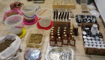 Desmantelan laboratorio clandestino de narcóticos en Edomex