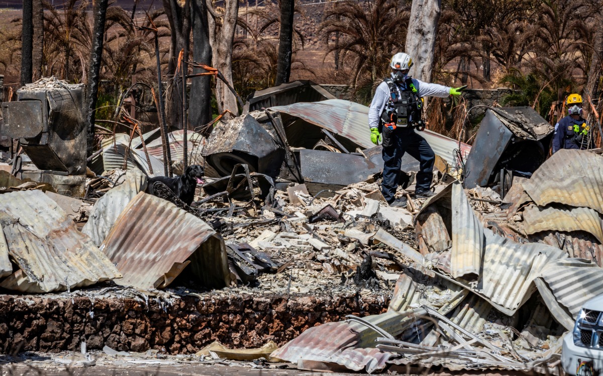 Maui, Hawaii Emergency manager resigns after fire criticism