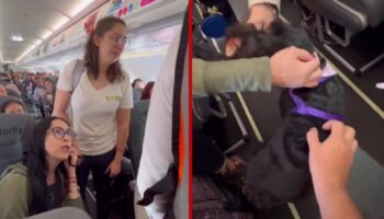Viva Aerobús cambia de vuelo a pasajera porque su perro de apoyo emocional no llevaba bozal | Video