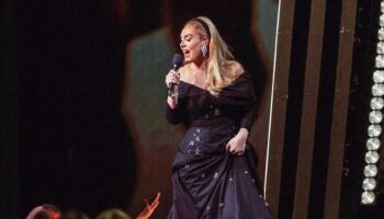 Adele interrumpe concierto y pide a seguridad que no moleste a fan | Videos