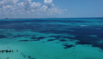 Greenpeace celebra ratificación mexicana de Tratado Global de Océanos